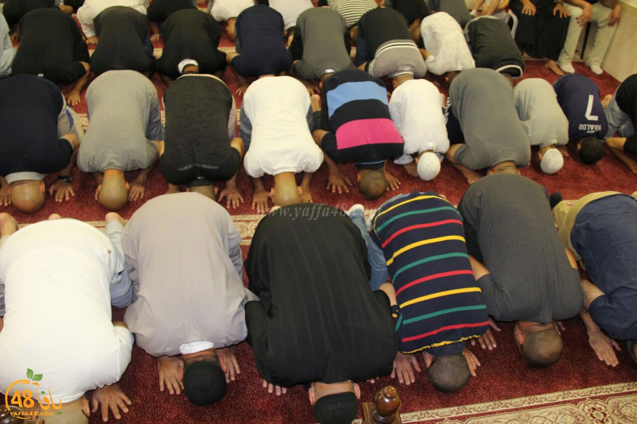 trawe7 mohamed fateh (11).jpg